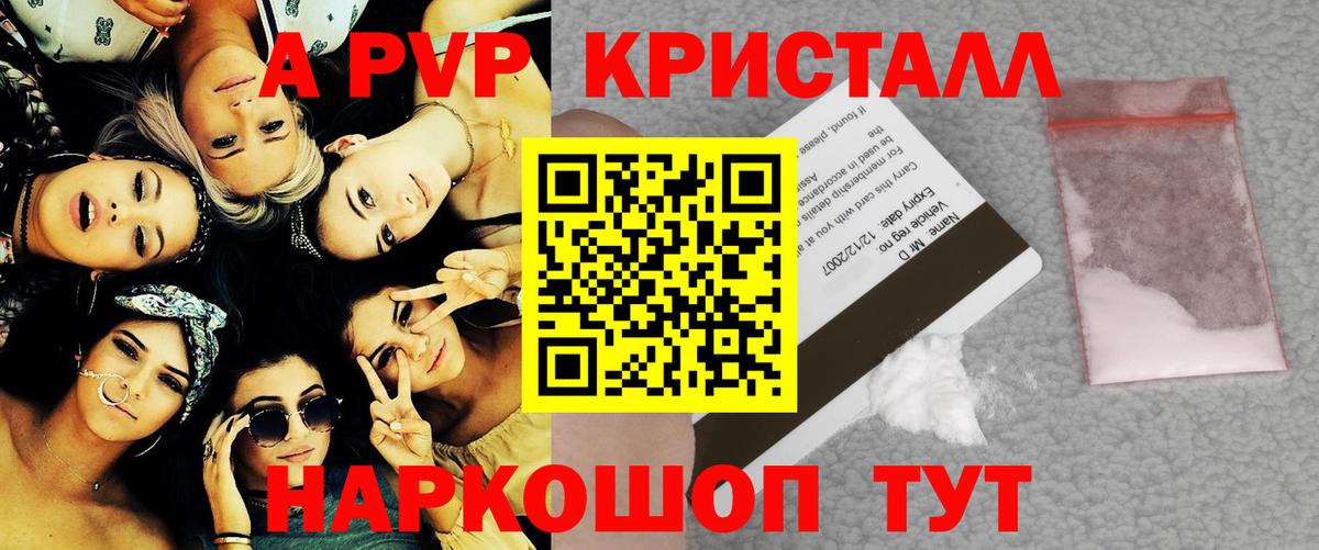 Альфа ПВП СК Дальнегорск
