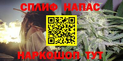 ПСИЛОЦИБИНОВЫЕ ГРИБЫ Канаш